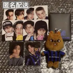 スキズ ハン ハンクウォッカ ぬい トレカ セット