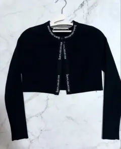 2025年最新】Alexander Wang カラー：ブラック系 長袖の人気アイテム