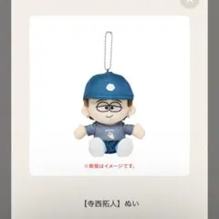 【新品未開封・匿名発送】timelesz ドームグッズ ぬい 寺西拓人