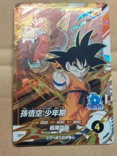 ザキヤマ様 リクエスト 5点 まとめ商品