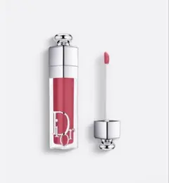 ディオール アディクト リップ マキシマイザー　029