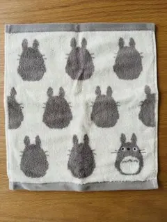 トトロデザインタオル ウォッシュタオル　厚手
