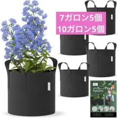 ☆不織布プランター 7ガロン 10ガロン10枚入 植木鉢 寄せ植え
