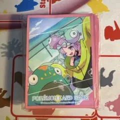 ポケモン ナンジャモ ジムセット スリーブ 64枚入り