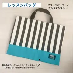 レッスンバッグ 絵本袋 サブバッグ