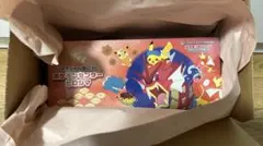 【24時間以内配送可能】ポケモンセンター ヒロシマ スペシャルBOX