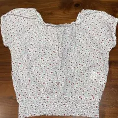 Item thumbnail for item 153aa820-1129-4ee1-95cb-121e4bd8991e