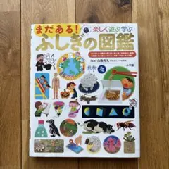 まだある!ふしぎの図鑑 楽しく遊ぶ学ぶ