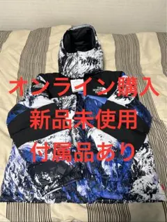 Supreme The North Face 雪山 バルトロ baltoro