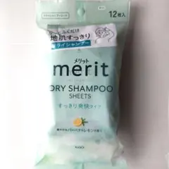 ドライシャンプーシート キャンプ アウトドア メリット 災害 緊急 入院 介護のサムネイル