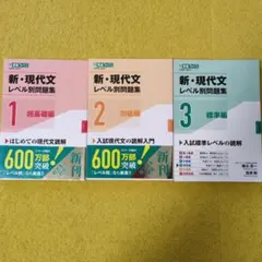 新・現代文レベル別問題集 1, 2, 3巻セット