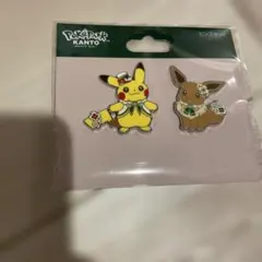 限定品】ピカチュウ・イーブイ／ポケパーク カントー ピンズセット