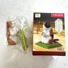 【新品・未開封】猫 ほっこり日和 * スコティッシュフォールド