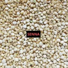 Item thumbnail for item dbf91104-478d-4acf-b882-ed5637b17a08