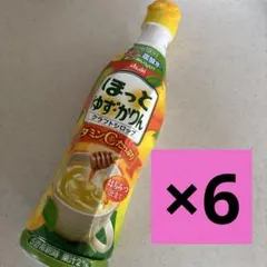 アサヒ飲料 クラフトシロップ ほっとゆず・かりん希釈用6カルピス原液のサムネイル