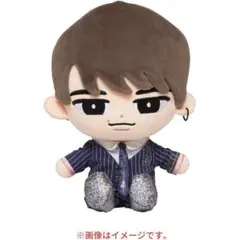 【新品未使用】渡辺翔太 SnowMan すのチル　Bigぬいぐるみ