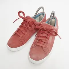 【未使用級】UGG ローカット スニーカー スエード レースアップ 22.5cm