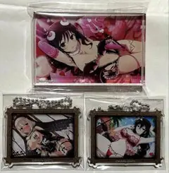 閃乱カグラ ドン・キホーテ アクリルブロックコレクション 全種セット 1218171219_676283e3982fa.jpg