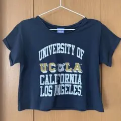 UCLA カレッジロゴ 半袖Tシャツ ネイビー Fサイズのサムネイル