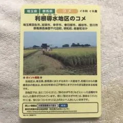 Item thumbnail for item 2793f3d3-9f3a-4571-a45d-666c24cd3d39