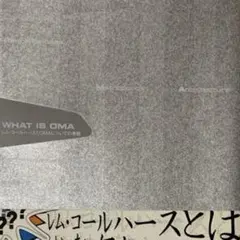 What is OMA レム・コールハースとOMAについての考察