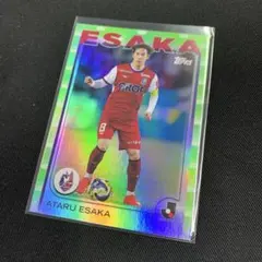 Item thumbnail for item 74a3d216-6859-4c42-84d8-c97747b40cf6