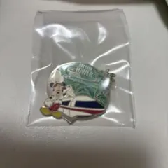 Disney Bay Lake Tower ピンバッジのサムネイル