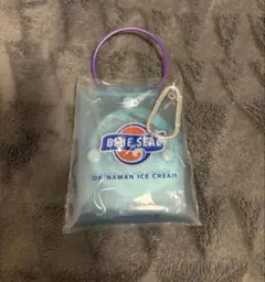 BLUE SEAL クリアポーチ