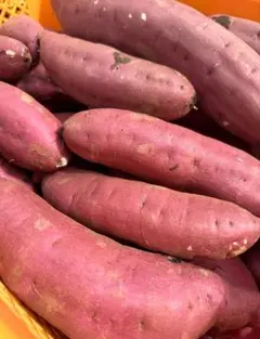 ☆残り１ヶ月☆ 小さいさつまいも 紅はるか 茨城県産　農家直送　毎日発送