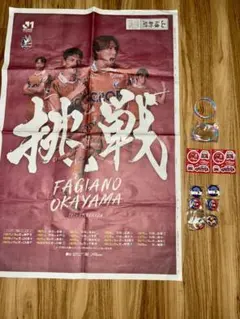 ファジアーノ岡山 グッズまとめ売り ファイル等