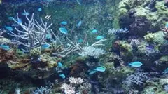 たいきさん専用