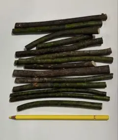 クロモジ　自然素材　無農薬　無洗浄　枝　色々　不揃い枝　130g位　①のサムネイル