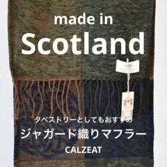 Item thumbnail for item 46558eca-9d4b-46e3-9bac-e5746871d056