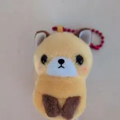 未使用！ぷちまる ぬいぐるみ キーホルダー きつね