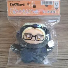 新品未開封 ハイキュー ちみけもますこっと　月島蛍