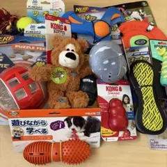 犬のおもちゃ 15個セット 小型犬 超小型犬 ペティオ デンタルトイ