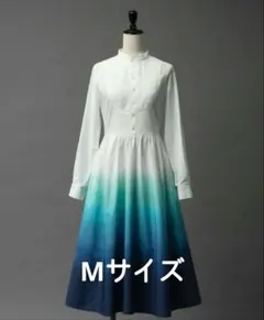 美品✴︎hazama/ハザマ 見えないものを見ようとして見上げた夜空のモッズコート hazama ハザマ 見えないものを見ようとして見上げた夜空のワンピース