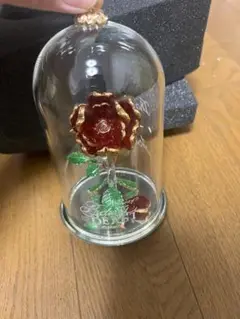 美女と野獣　Beauty and the Beast Rose ガラスドーム
