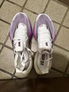 Item thumbnail for item d4bdb577-1a6c-4d02-b810-b6827bb68940