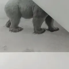 Item thumbnail for item b42dd4d8-fb04-4360-8b77-36569c2d1b2f