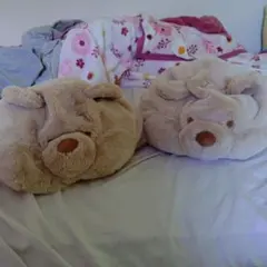 ディズニーリゾート プーさん ファンキャップ