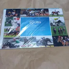 JRA 2025 カレンダー　愛すべきスターホースたち　新品未開封　匿名配送