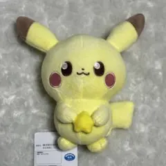 ポケピース ぬいぐるみ Starry Night ピカチュウ ポケモン　推し活