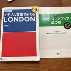 Item thumbnail for item 3c082c9d-c5de-458d-b2d8-e6c31396c256