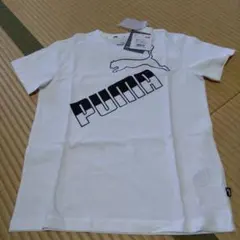 未使用男の子プーマ半袖Ｔシャツ150