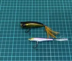デプス 2026メンバー 限定 こどもの日 キラメキ 子鯉 パルスコッドJr
