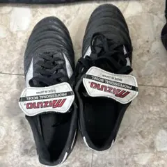 Item thumbnail for item 7d3fb1e9-0403-423a-a5ad-5e98452f67fe