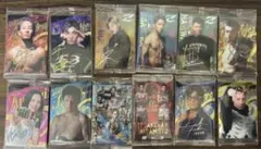 RIZINウエハースカード （レア、シークレット、サイン入り等）