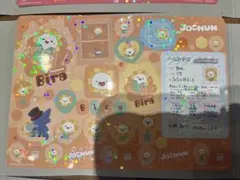 jochum ジャンボシールダス　 Bira 佐藤景瑚