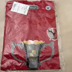 【5-20】2001年　鹿島アントラーズ　ステージ優勝記念Tシャツ　新品のサムネイル